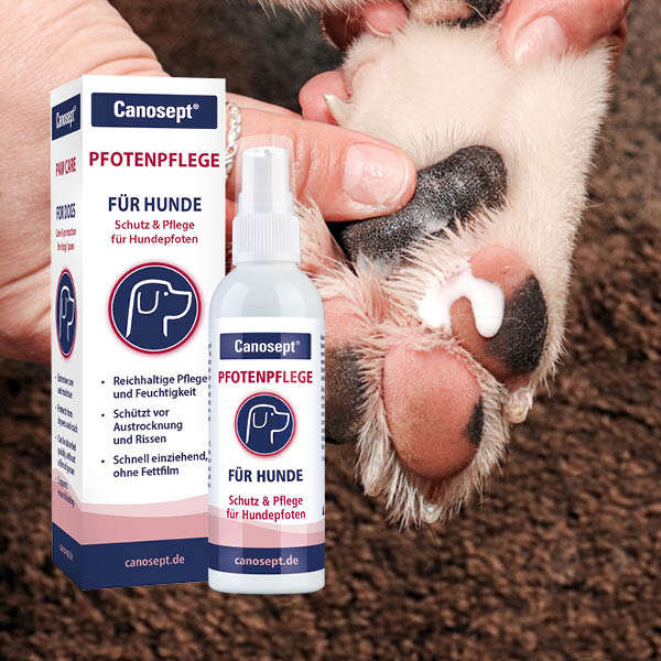 Canosept Pfotenpflege für Hunde 75 g